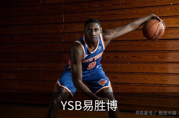 YSB易胜博简介